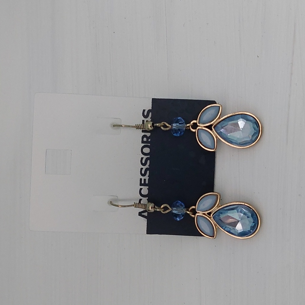 NWT Drop Earrings